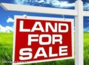 Currently Displayed Property Photo
